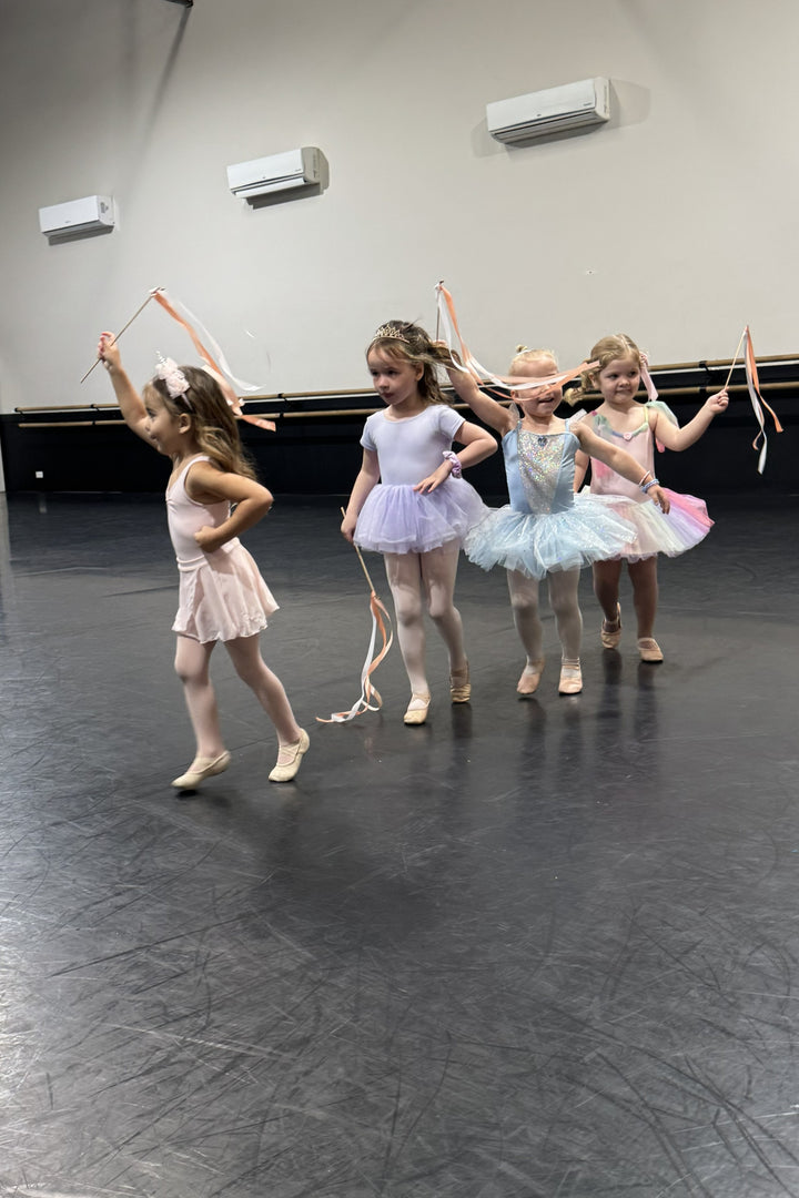 Tiny Dancers Ballet Workshop
