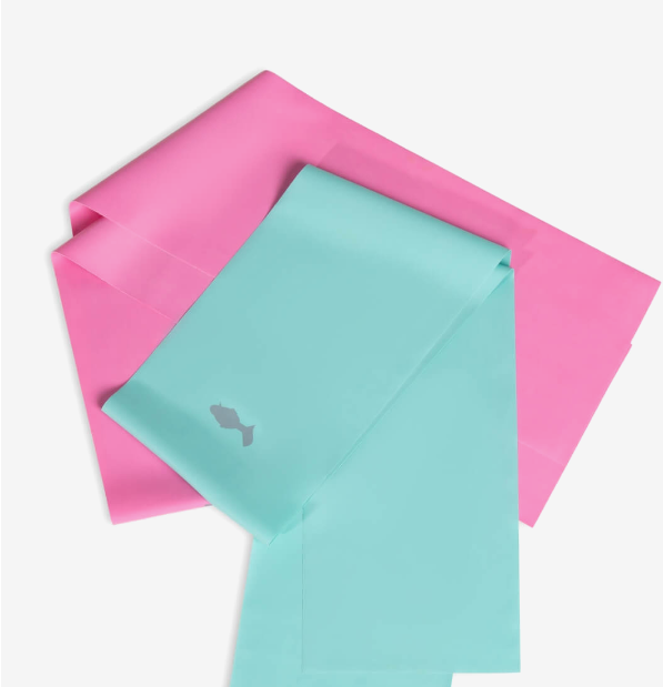 Resistance Bands (2-Pack) - The Stage Shop